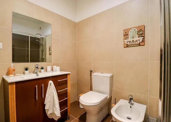 Apartment Da Silva House - Ap In Afife With Balcony & Seaview